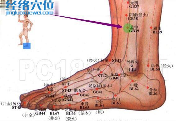 懸鐘穴的準確位置圖