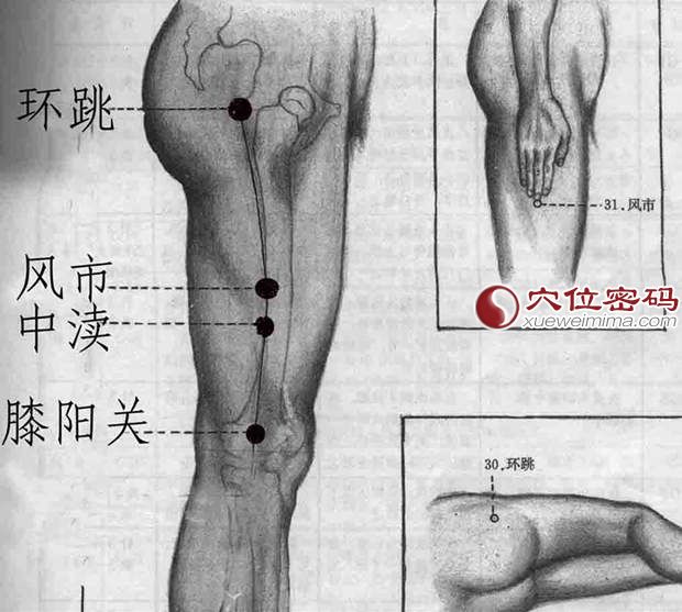 膝陽關穴的位置圖