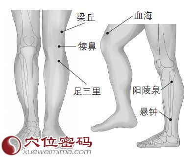 陽陵泉穴