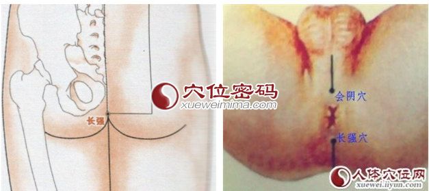 長強穴的準確位置圖