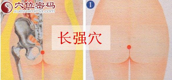 長強穴的準確位置圖