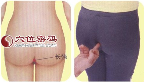 長強穴的位置圖