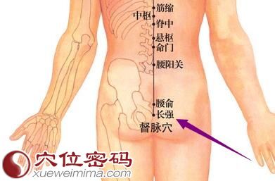 長強穴位圖