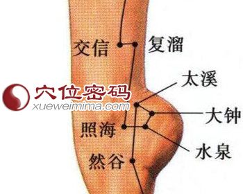 復(fù)溜穴、交信穴等位置圖
