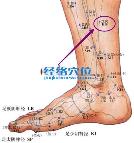 筑賓穴的準確位置圖