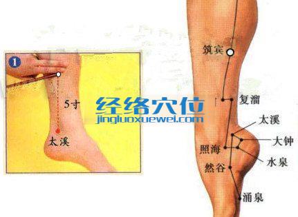 筑賓穴的準確位置圖