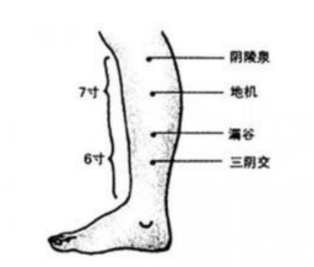 陰陵泉