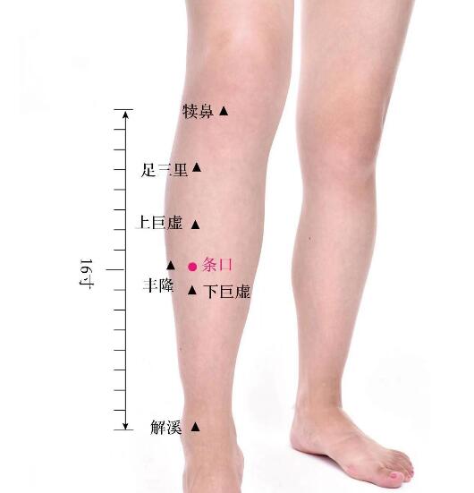 條口的準(zhǔn)確位置圖及功效視頻位位置圖