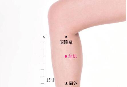 地機(jī)的準(zhǔn)確位置圖及功效視頻位位置圖