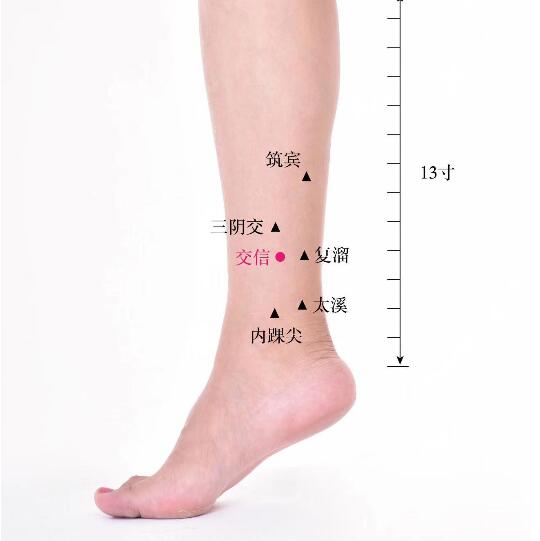 交信的準確位置圖及功效視頻位位置圖