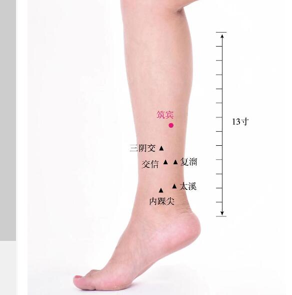 筑賓的準(zhǔn)確位置圖及功效視頻位位置圖