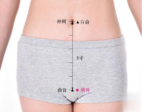 橫骨的準確位置圖及功效視頻位位置圖