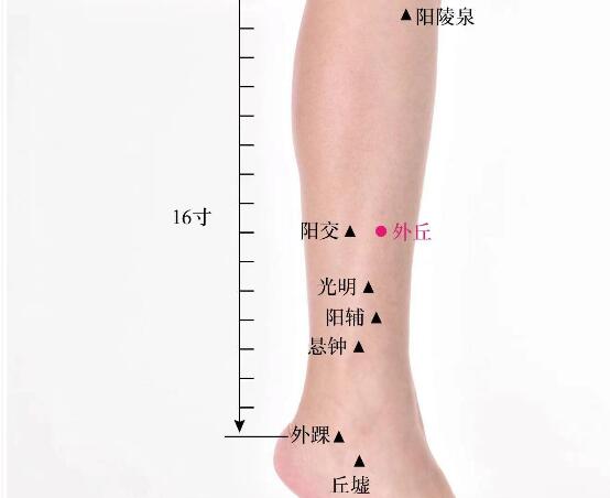 外丘的準確位置圖及功效視頻位位置圖
