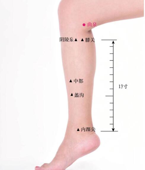 曲泉的準確位置圖及功效視頻位位置圖