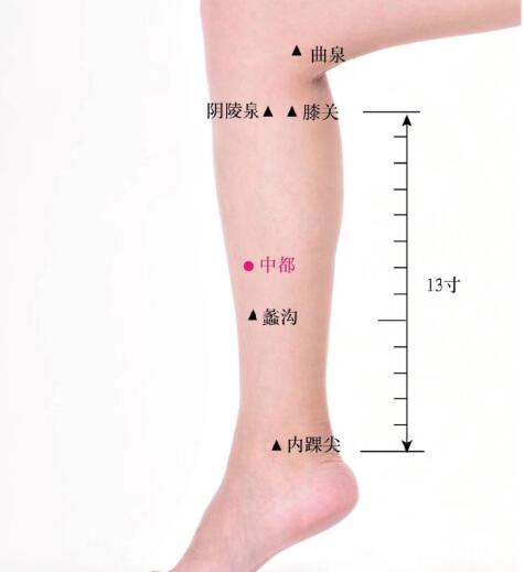 中都的準(zhǔn)確位置圖及功效視頻位位置圖