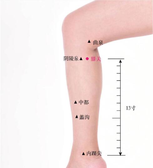 膝關(guān)的準(zhǔn)確位置圖及功效視頻位位置圖