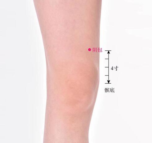 陰包的準確位置圖及功效視頻位位置圖