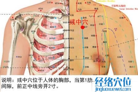 彧中穴位位置圖