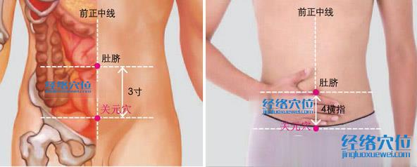 關元穴位位置圖