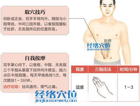高清圖解天樞穴