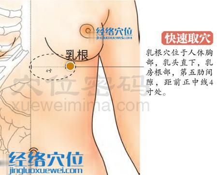 高清圖解乳根穴的位置