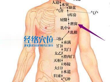 足陽明胃經膺窗穴