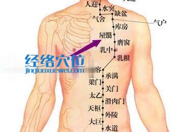 胃經屋翳穴位圖