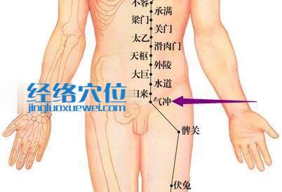足陽明胃經氣沖穴