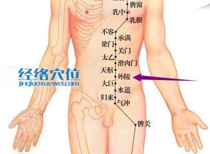 足陽(yáng)明胃經(jīng)外陵穴