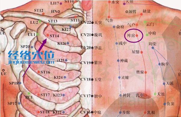 庫房穴的位置解剖分析圖