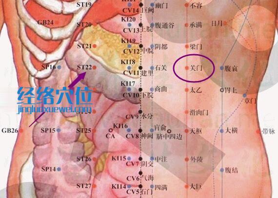 關門穴的準確位置及解剖分析圖