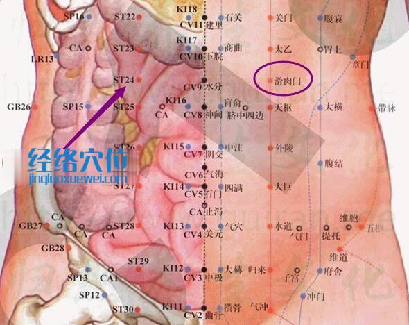 滑肉門穴的準確位置圖
