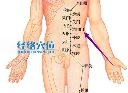 滑肉門穴位圖