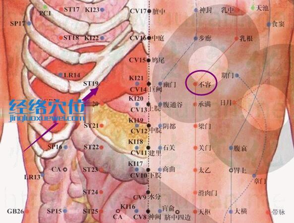 不容穴的準(zhǔn)確位置圖