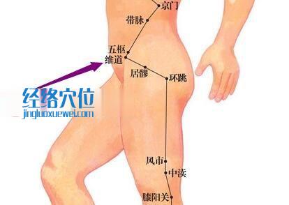 維道穴的位置圖