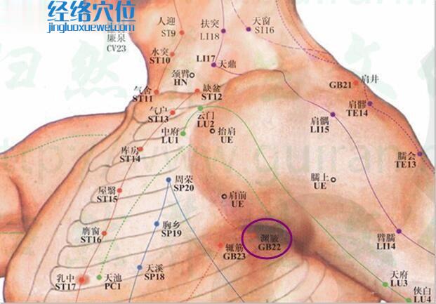 淵腋穴