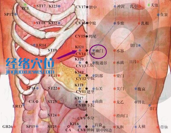 幽門穴的準(zhǔn)確位置圖