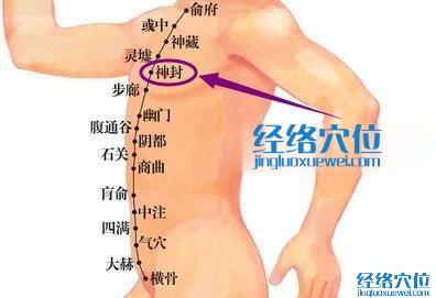 神封穴位圖