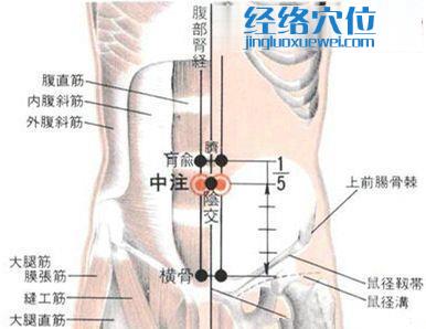 中注穴的位置解剖分析圖