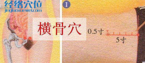 橫骨穴的準確位置圖