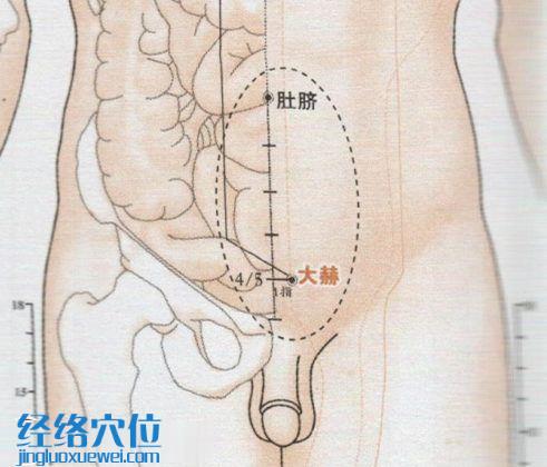 大赫穴的準(zhǔn)確位置圖