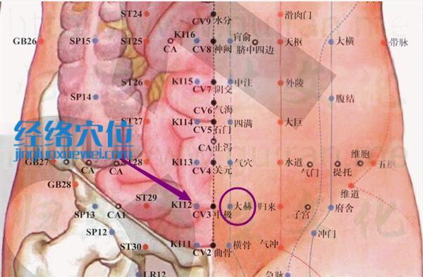 大赫穴的準(zhǔn)確位置圖
