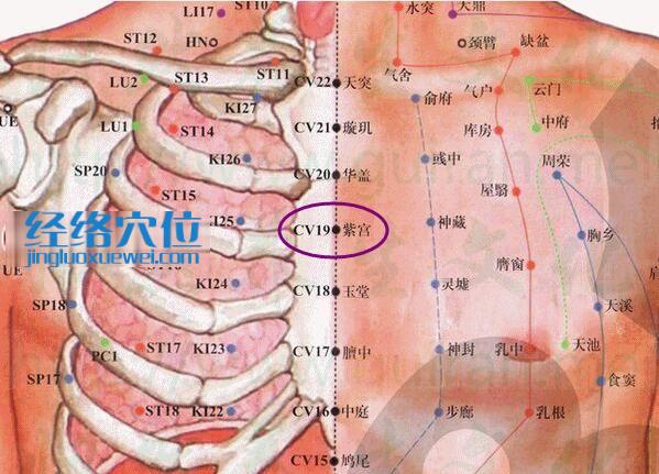 紫宮穴的準確位置圖