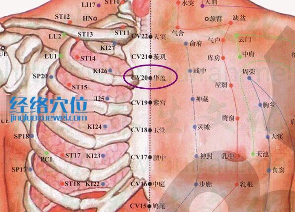 華蓋穴的準確位置圖