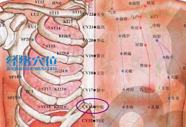 中庭穴的準確位置圖