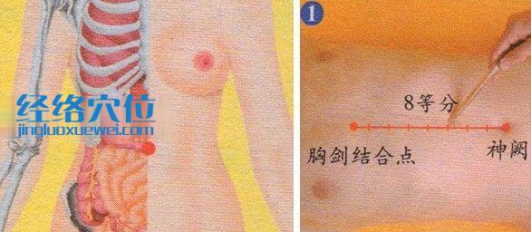 建里穴的準確位置圖