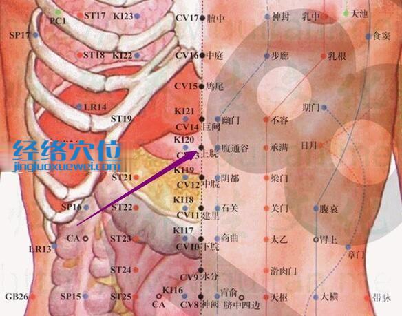 上脘穴的準(zhǔn)確位置圖