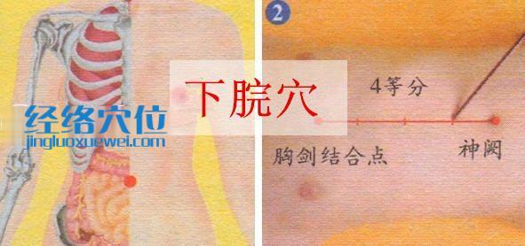 下脘穴的準確位置圖