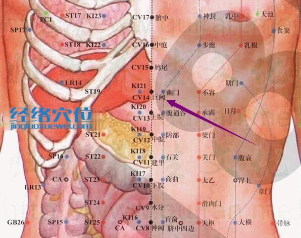 巨闕穴的準確位置圖