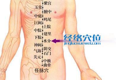 水分穴位位置圖